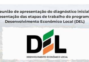 Programa DEL de Treze Tílias, apresenta hoje diagnóstico econômico do município