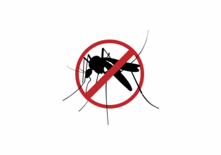 Saúde de Iomerê alerta para medidas de prevenção à dengue