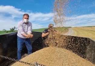Estado investirá R$ 10 milhões para incentivar o cultivo de cereais de inverno em Santa Catarina