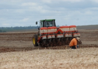 Falta de chuva atrasa plantio de grãos e produção 2022 pode ser comprometida