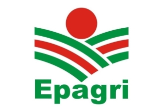 Epagri abre seleção para 90 bolsistas nas áreas de pesquisa agropecuária e inovação.