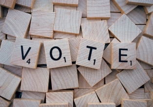 Eleições 2022: serviços ao eleitor estão disponíveis na internet