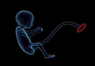 Estudo mostra efeitos da covid-19 na placenta e reflexos nos fetos