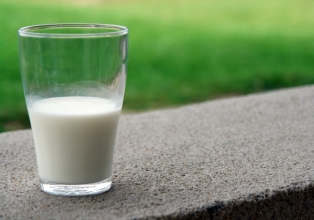 Falta de luz gera prejuízos a produtores de leite
