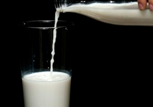 Entenda por que leite e derivados estão ficando mais baratos