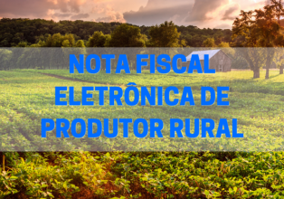 Município de Ibicaré promove curso de Emissão de Nota Fiscal Eletrônica para Produtor Rural
