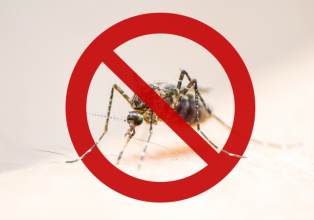 Secretaria de saúde de Arroio Trinta pede que população redobre atenção para evitar proliferação do mosquito da dengue