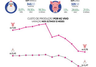 Custos de produção de suínos e  de frangos de corte voltam a cair em junho