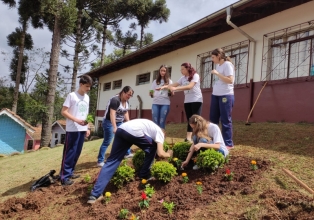 Grupo Ambiental realiza plantio de mudas ornamentais na Escola Municipal