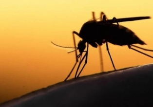 Concórdia confirma primeiro óbito por dengue