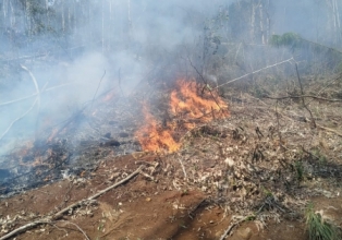 Incêndio em vegetação na cidade da Macieira