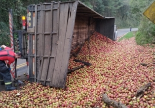 Caminhão carregado de maçã tomba na SC 464 entre Salto Veloso e Arroio Trinta.
