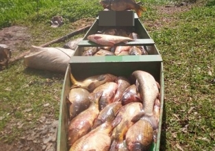 Polícia diz que não houve crime ambiental em pescaria realizada no Rio do Peixe em Tangará