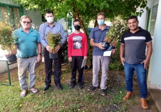 Programa madeira legal entrega as primeiras mudas de eucalipto aos produtores de Macieira