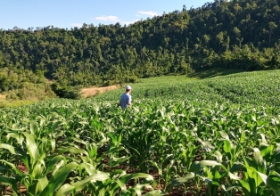 Programa Terra Boa beneficia mais de 100 produtores rurais de Treze Tílias