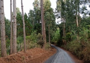 Prefeito de Macieira acompanha trabalhos de conservação de estradas rurais do município