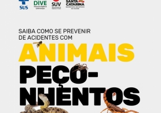 Setor de Saúde alerta para a prevenção de acidentes com animais peçonhentos