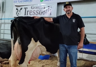 Com 79,590 kg, Família Tressoldi de Ibicaré vence o Torneio Leiteiro da Expotilias 2024 