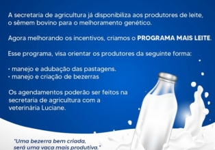 Programa Mais Leite amplia incentivos aos produtores rurais do município de Iomerê