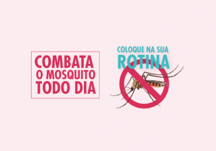 Vizinhos precisam reforçar o combate ao mosquito da dengue