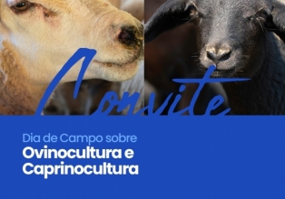 Iomerê: Dia de Campo sobre Ovinocultura e Caprinocultura promovido pela COOVICAP contou com boa participação 