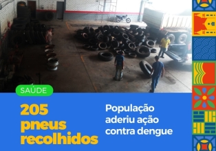 Campanha de descarte recolhe mais de 200 pneus em Salto Veloso