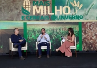 Santa Catarina aposta na produção de cereais de inverno para minimizar o déficit de milho