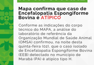 MAPA confirma caso de Encefalopatia espingiforme bovina é atípico