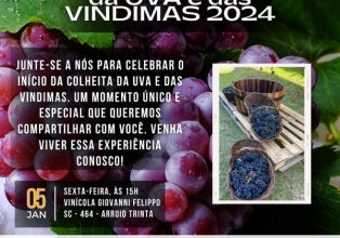 Abertura oficial da VINDIMA e da colheita da uva é hoje no município.