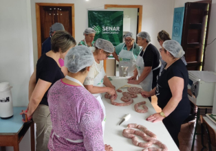 Realizado Curso de Processamento de Carne Suína na Linha São Valentim
