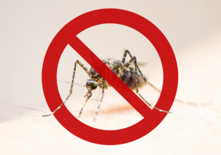 Município de Água Doce registra 69 focos do mosquito da dengue