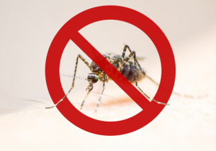 Após novo foco encontrado, Município de Luzerna está em alerta contra a Dengue