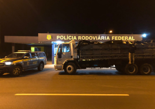PRF apreende quatro toneladas de camarão argentino contrabandeado em caminhão na BR-282, em Xanxerê