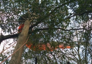 Piloto de parapente é resgatado por bombeiros após ficar preso em árvore em Tangará