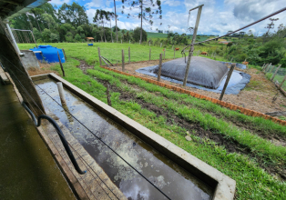 5º Fórum Sul Brasileiro de Biogás e Biometano, webinar apresenta cases e discute potencialidades para o meio rural