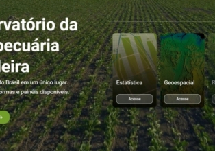 Painel interativo fornece dados estratégicos e cenários da agropecuária brasileira
