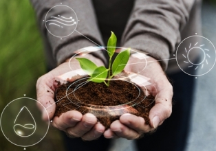 Agrotech: startups trazem tecnologia e inovação para o agronegócio