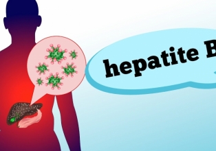 HEPATITE B: sintomas, fases, contaminação e prevenção
