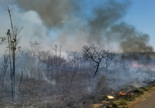 Biomas brasileiros registram queda nos focos de queimada no 1º semestre deste ano