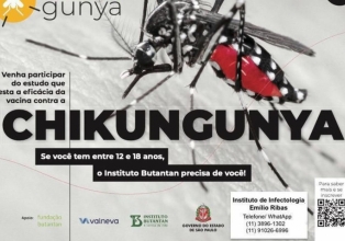 Instituto recruta voluntários para teste de vacina contra chikungunya