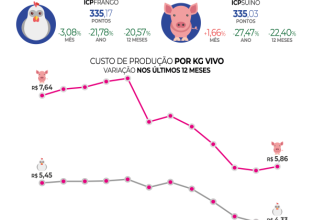 Custos de produção de suínos sobem em julho. ICPFrango registra nova queda