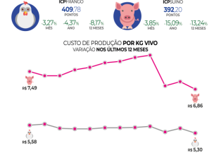 Custo total de produção de suínos e  de frangos de corte recuam em março