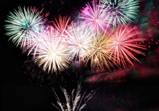 Quatro dicas para reduzir o estresse dos pets com os fogos de artifício no Ano Novo