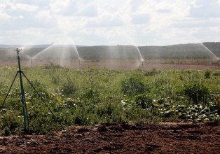 ALIMENTOS: Projeto que facilita irrigação para produção visa driblar estiagem