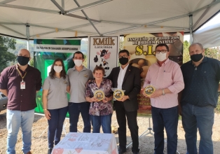 Presidente da Cidasc entrega selo arte para indústria de queijos em Salto Veloso