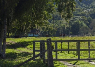 Proprietário de imóvel rural que manter reserva natural poderá ficar isento do ITR