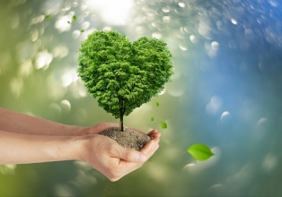 Destaques na defesa da pauta de baixo carbono recebem Prêmio da Economia Verde