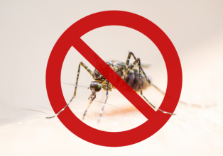 Agente de endemias destaca cronograma de trabalho pós identificação de focos do mosquito da dengue, em Arroio Trinta