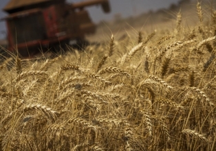 CNA defende aprovação do novo marco legal dos defensivos agrícolas