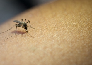 População acredita que dengue deixou de existir durante a pandemia, mas Ministério da Saúde aponta aumento do número de casos em 2022